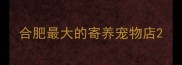 合肥最大的寄养宠物店