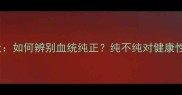边牧纯种vs混血犬如何辨别血统纯正纯不纯对健康性格有哪些影响