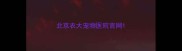 北京农大宠物医院官网