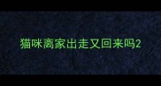 猫咪离家出走又回来吗