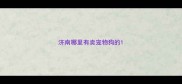 济南哪里有卖宠物狗的