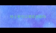哈士奇可以喂家的饭吗