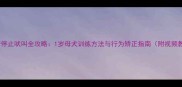 哈士奇停止吠叫全攻略1岁母犬训练方法与行为矫正指南附视频教程