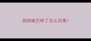 狗狗嘴巴肿了怎么回事