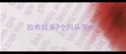 拉布拉多7个月头多大