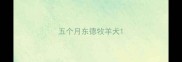 五个月东德牧羊犬