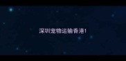 深圳宠物运输香港