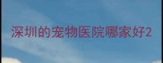 深圳的宠物医院哪家好