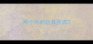 两个月的玩具贵宾