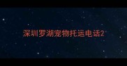 深圳罗湖宠物托运电话