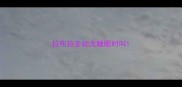 拉布拉多幼犬睡眠时叫