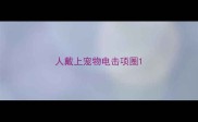 人戴上宠物电击项圈