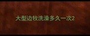 大型边牧洗澡多久一次