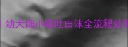 紧急救命指南幼犬细小呕吐白沫全流程处理附真实案例