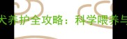 五个月大黑熊犬养护全攻略科学喂养与行为训练指南