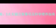 金毛幼犬养护全攻略5大关键注意事项及科学喂养指南附成长周期表