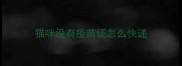 猫咪没有疫苗证怎么快递