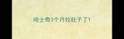 哈士奇3个月拉肚子了