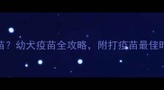 狗狗几岁不打疫苗幼犬疫苗全攻略附打疫苗最佳时间表和注意事项