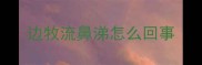 边牧流鼻涕怎么回事