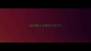 如何看小土狗几个月了