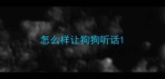 怎么样让狗狗听话