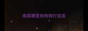 南昌哪里给狗狗打疫苗