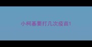 小柯基要打几次疫苗