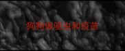 狗狗做驱虫和疫苗