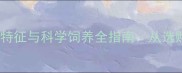 奶白拉布拉多的品种特征与科学饲养全指南从选购到养护的完整攻略