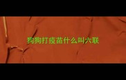 狗狗打疫苗什么叫六联