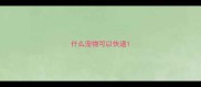 什么宠物可以快递