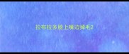 拉布拉多脸上嘴边掉毛