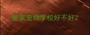 爱家宠物学校好不好