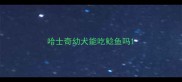 哈士奇幼犬能吃鲶鱼吗