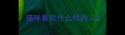 猫咪喜欢什么样的人