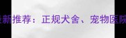 衡阳哪里买宠物狗最新推荐正规犬舍宠物医院合作渠道及领养指南
