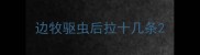 边牧驱虫后拉十几条