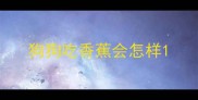 狗狗吃香蕉会怎样