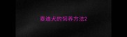 泰迪犬的饲养方法