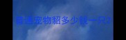 普通宠物貂多少钱一只