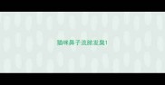 猫咪鼻子流脓发臭