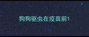 狗狗驱虫在疫苗前
