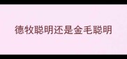 德牧聪明还是金毛聪明