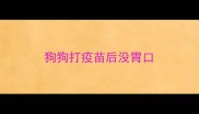 狗狗打疫苗后没胃口