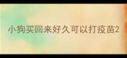 小狗买回来好久可以打疫苗