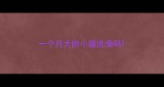 一个月大的小猫洗澡吗