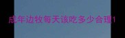 成年边牧每天该吃多少合理