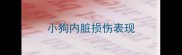 小狗内脏损伤表现