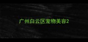 广州白云区宠物美容